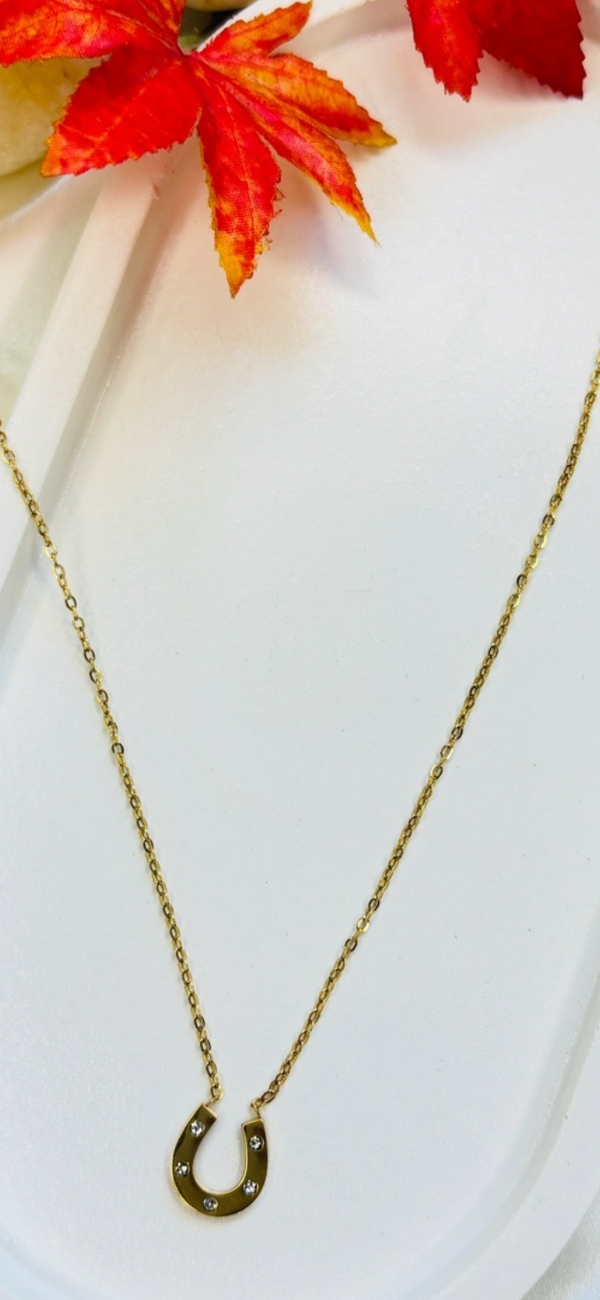 Horseshoe Pendant Chain