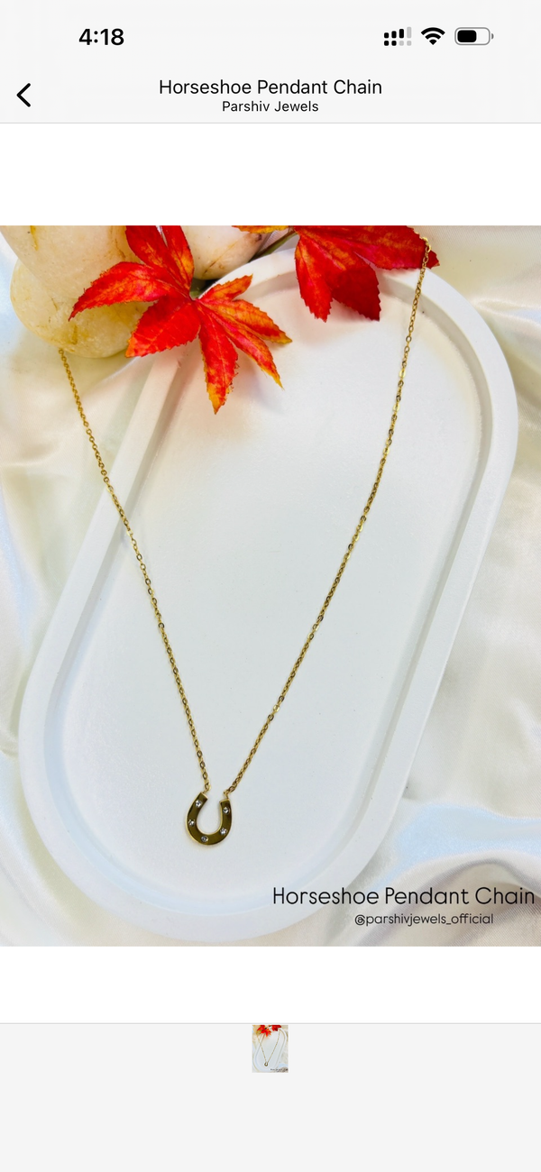 Horseshoe Pendant Chain